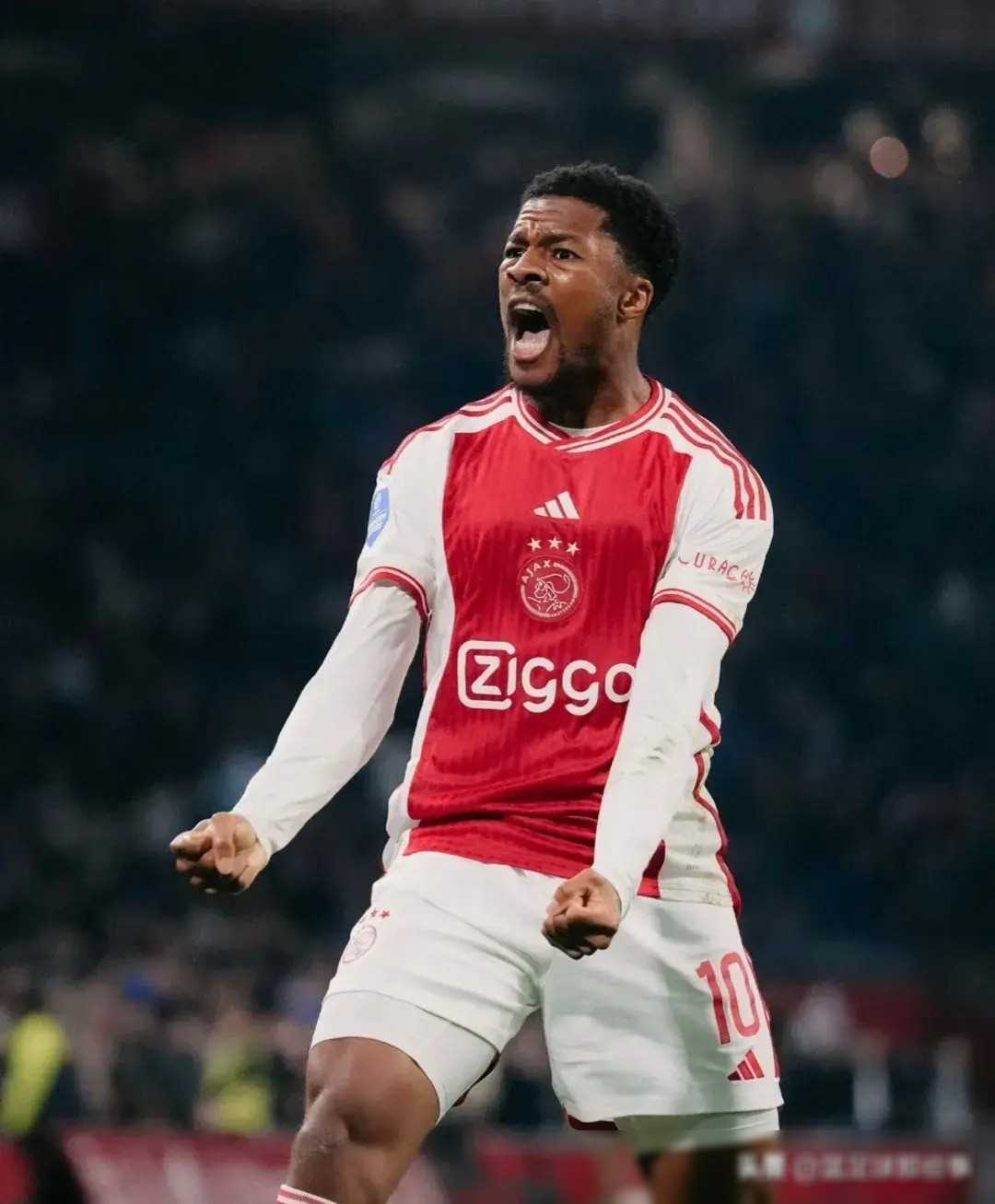 布莱顿内部沟通备战国王杯埃因霍温围绕荷甲更衣室发声，皇家马德里完成体检备战NBA常规赛看傻球迷(埃因霍温足球俱乐部官网)